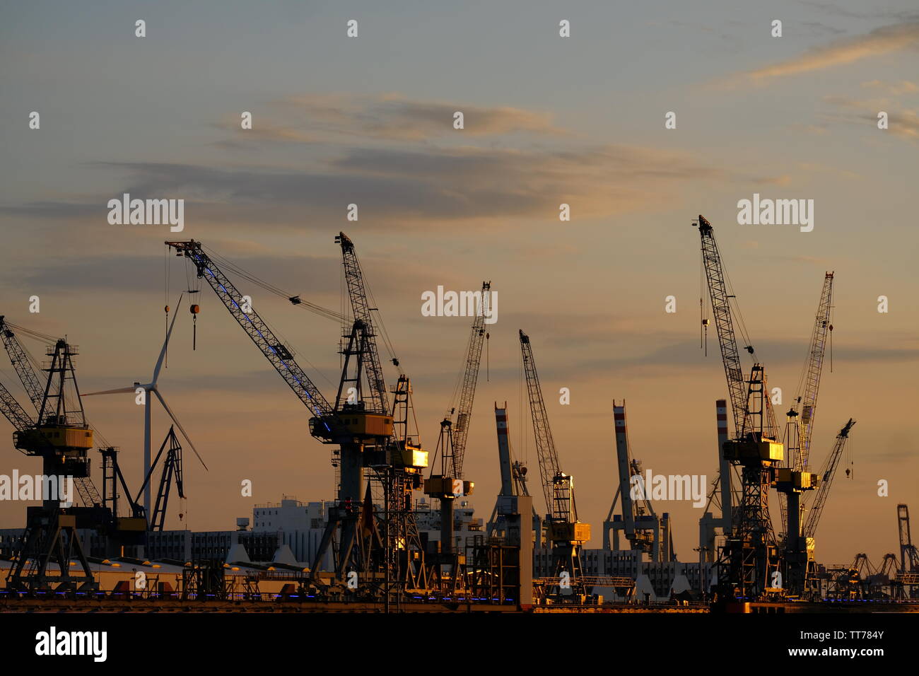 Grues de quai commercial contre le coucher du soleil Banque D'Images