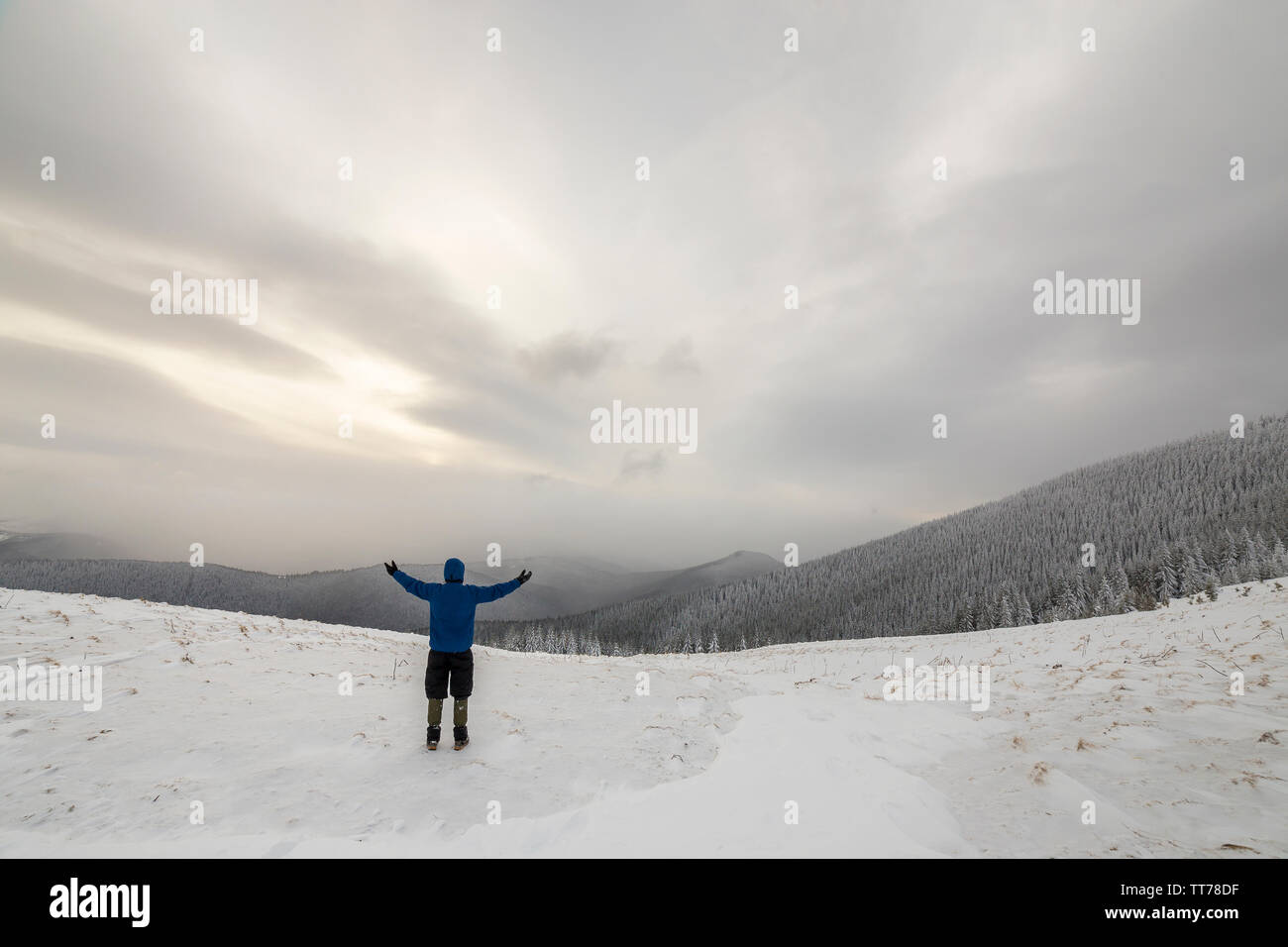 Vue arrière de l'randonneur dans des vêtements chauds avec sac à dos debout avec les bras levés sur la compensation couverte de neige sur la montagne de la forêt d'épinettes et ciel nuageux Banque D'Images