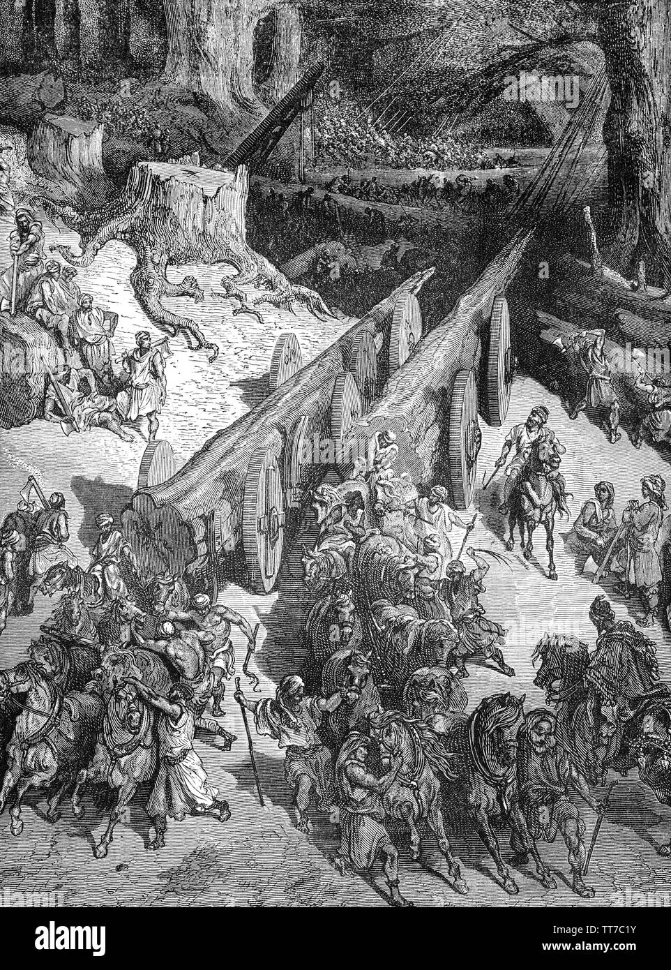 Ce qui porte le cèdre géant de la forêt du Liban. Après Cananéens et dominion Philistin, Le Roi David et son fils le roi Salomon conquis Jaffa et utilisé son port d'apporter les cèdres dans la construction du premier Temple de pneu durant le 1er siècle avant JC. Depuis quelques années David a été engagé dans la collecte de matériaux pour la construction d'un temple à Jérusalem comme un lieu permanent pour l'Éternel et l'arche de l'Alliance. Salomon est décrit comme entreprendre la construction du temple, avec l'aide d'un architecte, également nommé Hiram, et d'autres matériaux, envoyée par le roi Hiram de Tyr. Banque D'Images