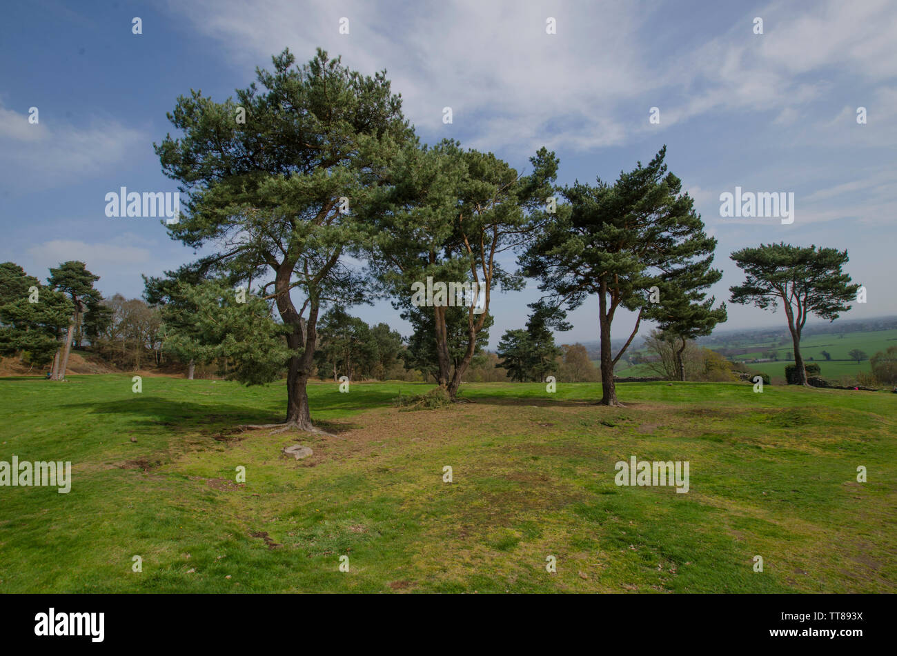 Beeston Castle, Cheshire, Angleterre, Royaume-Uni. Banque D'Images