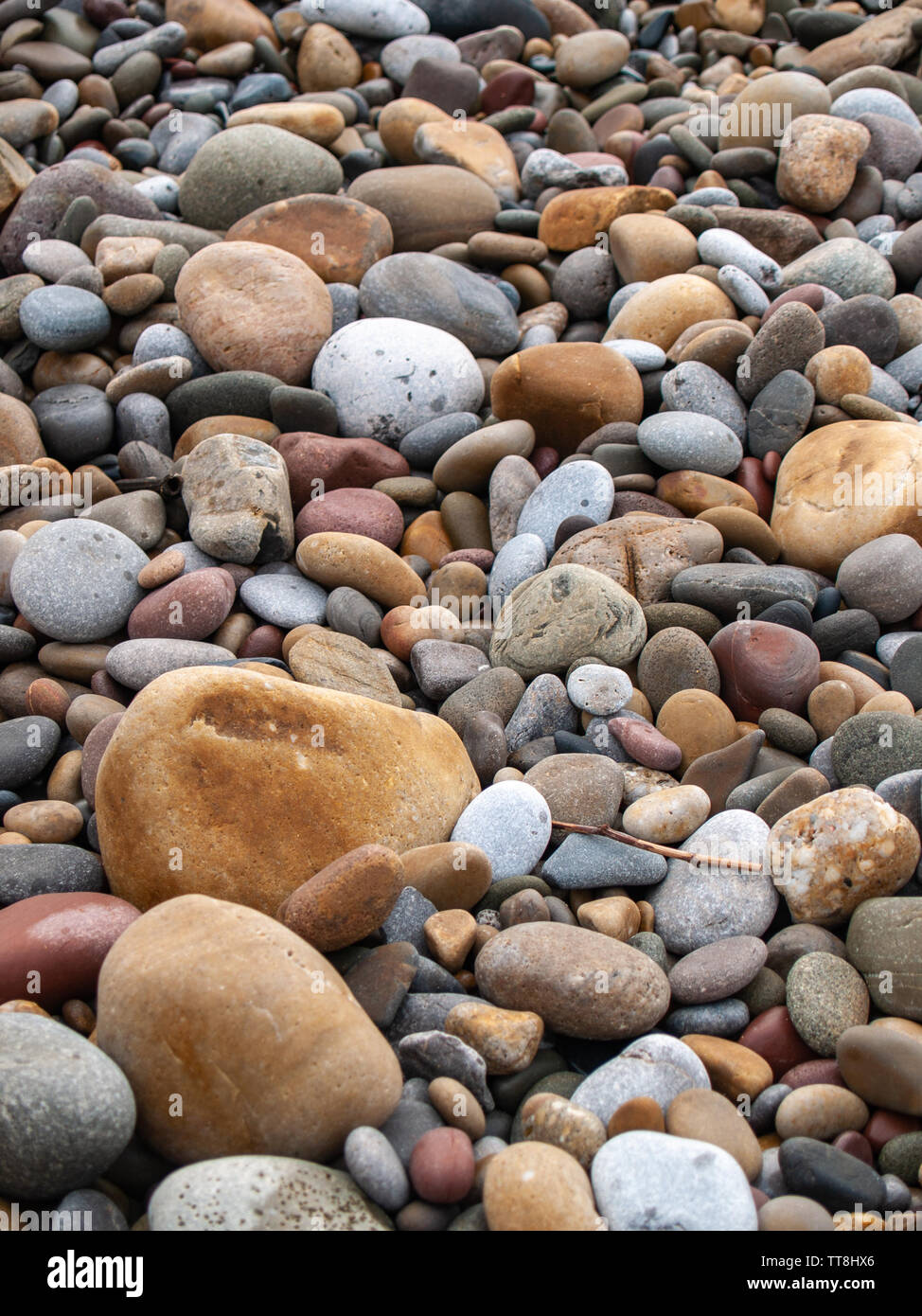 Une variété de cailloux multicolores sur la plage de la baie de bracelet, Swansea, Pays de Galles, Royaume-Uni. Banque D'Images