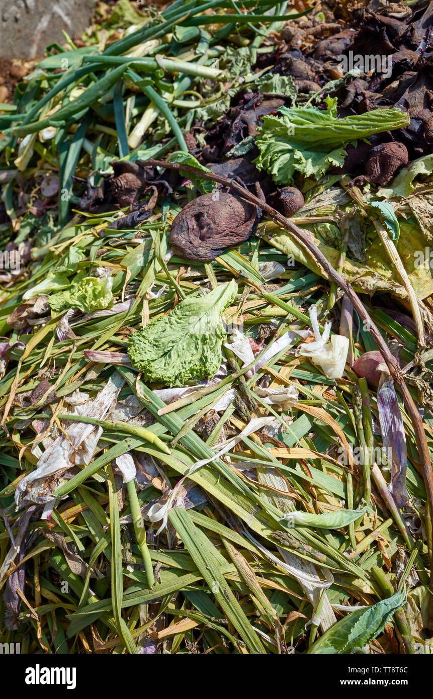 Le compost avec les restes de légumes Rural, selective focus. Banque D'Images