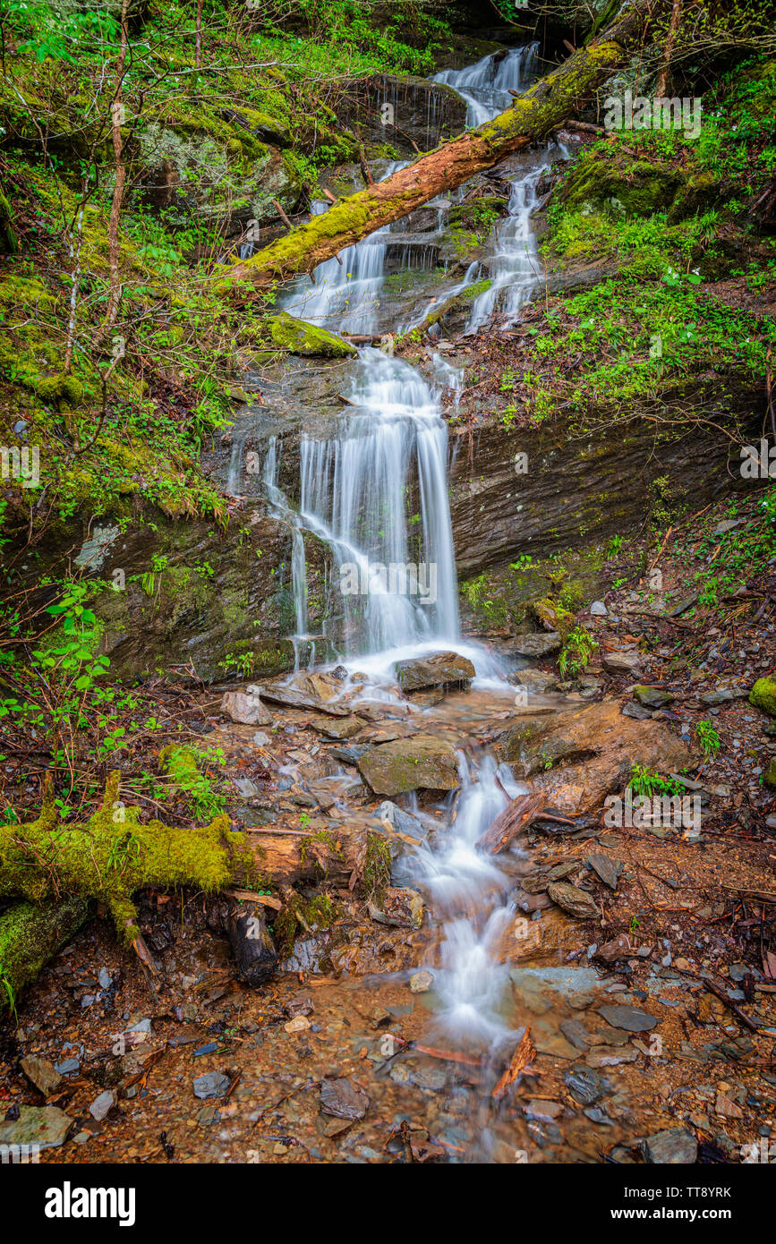 Shot verticale d'une petite cascade Smoky Mountain au printemps. Banque D'Images