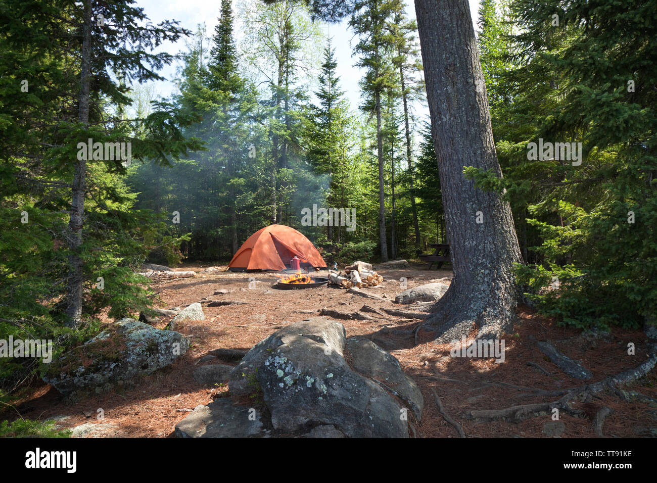 Camping avec tente d'orange et le feu mis parmi les pins dans le désert du nord du Minnesota Banque D'Images