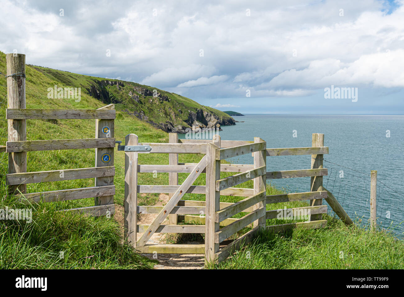 Le sentier du littoral à la pittoresque baie Mwnt dans Ceredigion, pays de Galles Banque D'Images