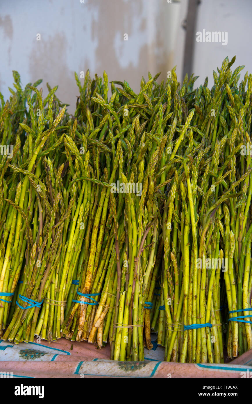 Bouquets d'asperges sauvages sur l'échoppe de marché à Cadix, Andalousie, espagne Banque D'Images