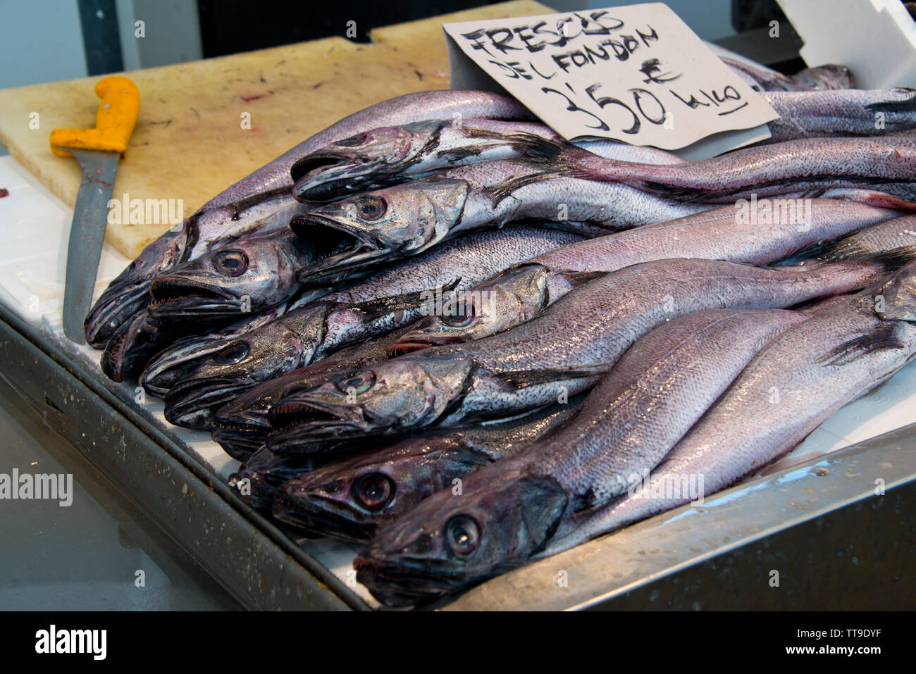 Merlu (Merluccius) merliccius sur poissonnerie market stall à Cadix, Andalousie, espagne Banque D'Images