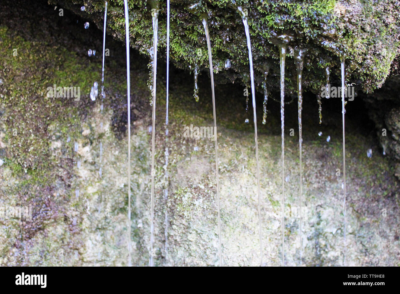Source de l'eau de source, close-up Banque D'Images