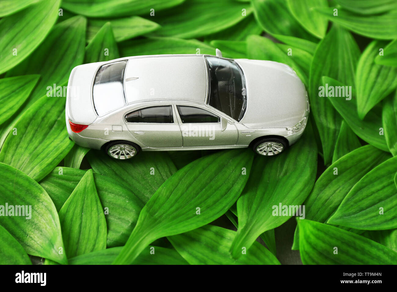 Petite voiture sur fond vert feuilles Banque D'Images