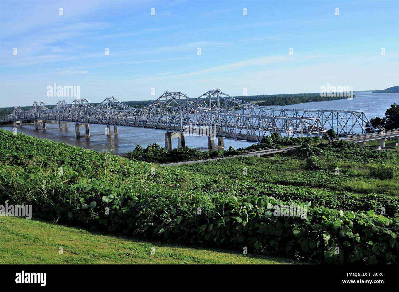Le kudzu couverts bluff donne sur le pont de la rivière Mississippi à Natchez, Mississippi. Banque D'Images