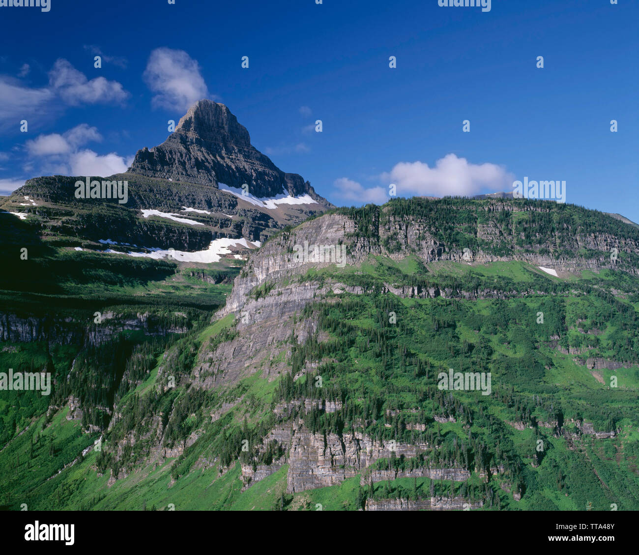 USA, Montana, le parc national des Glaciers, Reynolds Mountain towers vallée luxuriante. Banque D'Images