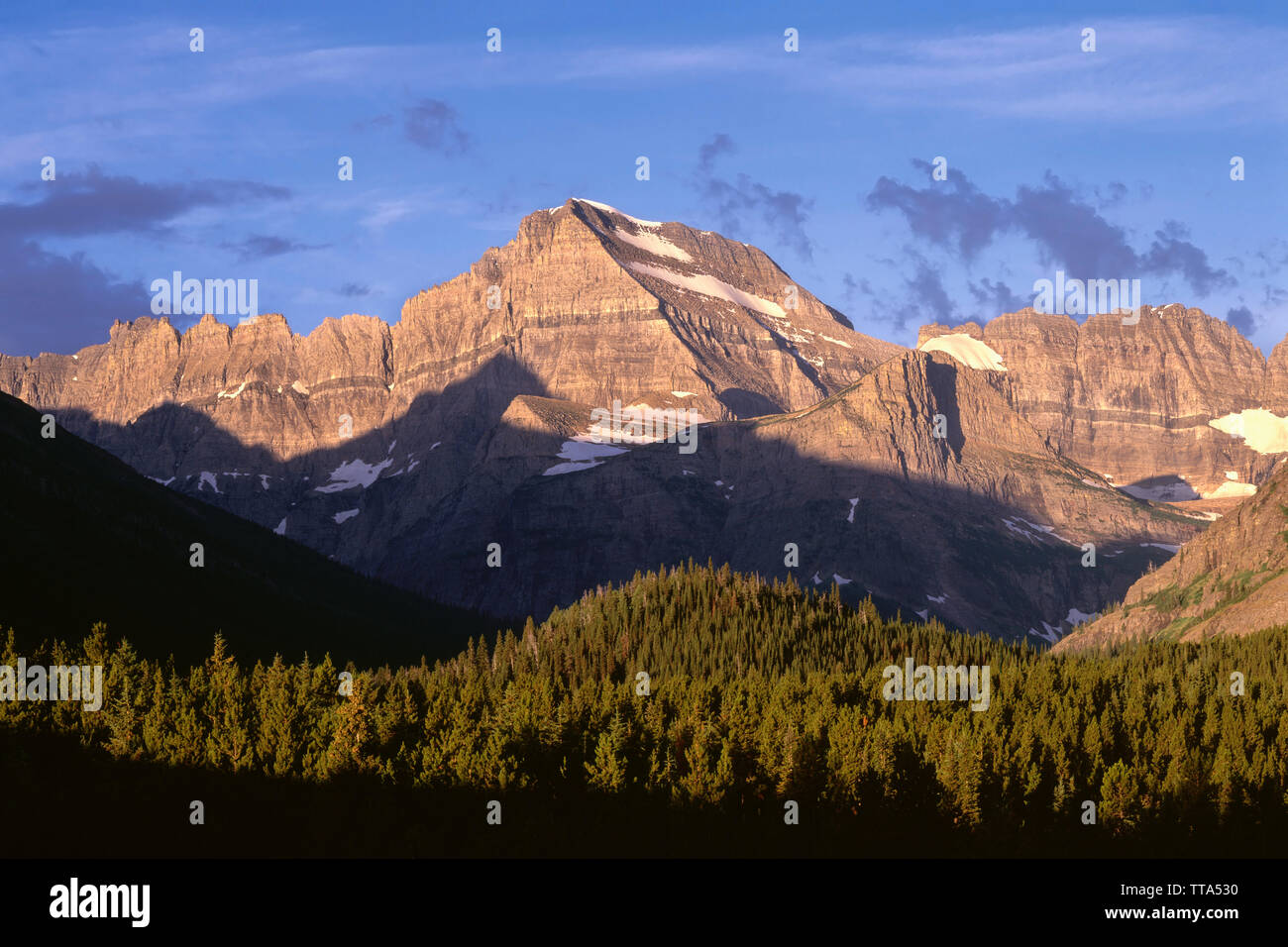 USA, Montana, Glacier National Park, Mount Gould et les pics de mur du jardin au-dessus de la tour de la forêt de conifères. Banque D'Images