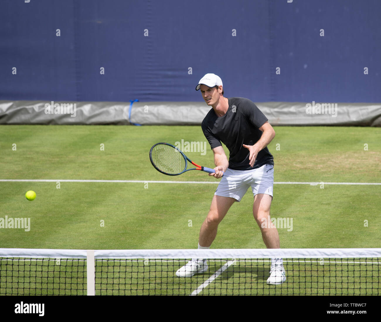 La Queens Club, London, UK. 16 juin 2019. Andy Murray sur la pratique judiciaire à la Fever Tree championnats. Credit : Malcolm Park/Alamy Live News. Banque D'Images