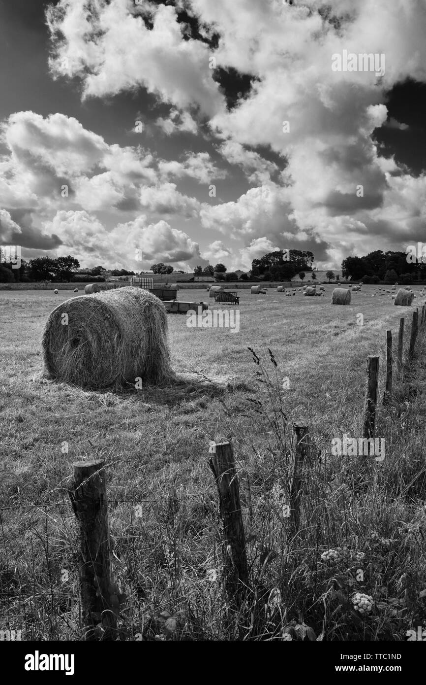 Haybale ronde dans un pré avec des moutons et des cumulus spectaculaire Banque D'Images