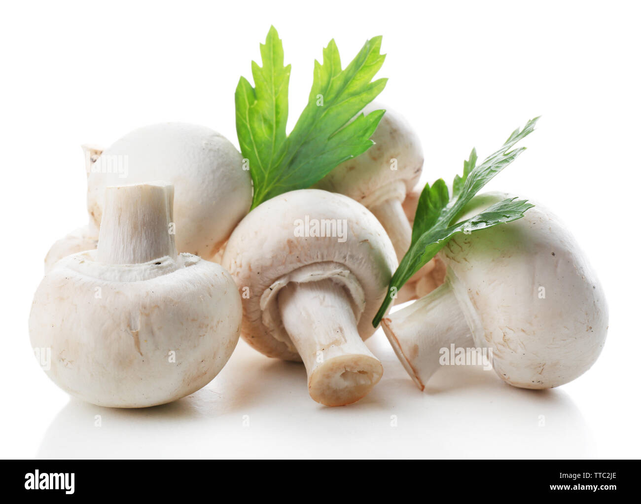 Un bouquet de persil et champignons champignon isolé sur fond blanc Banque D'Images