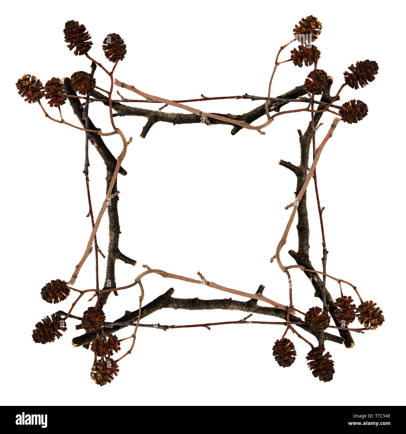 Cadre fait de brindilles sèches isolated on white Banque D'Images