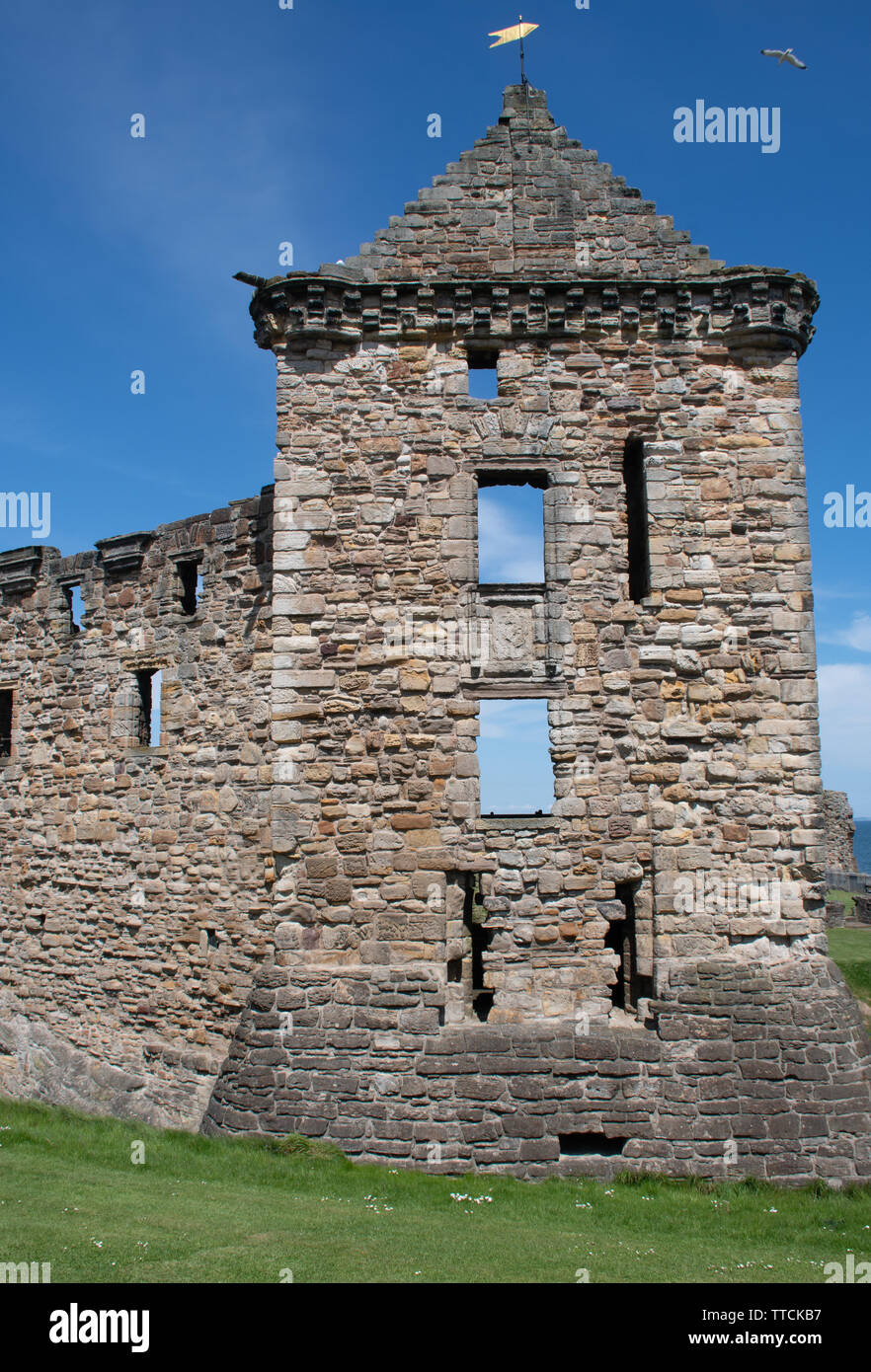 Ruines du château de St Andrews, Écosse Banque D'Images