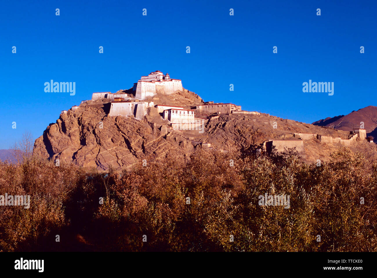 Gyantse dzong,Tibet Banque D'Images