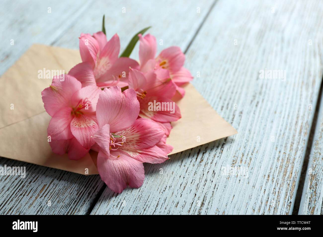 L'alstroemeria rose dans une enveloppe sur fond de bois Banque D'Images