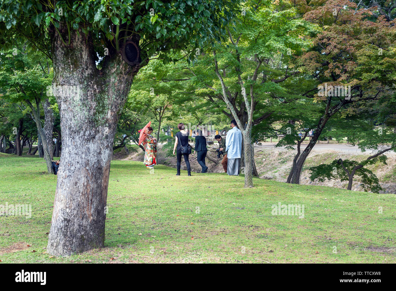 Photoshoot de mariage pré de jeunes mariée japonaise portant un kimono et portant un wagasa, papier huilé (parapluie), qui ont lieu dans le Parc de Nara, au Japon. Banque D'Images