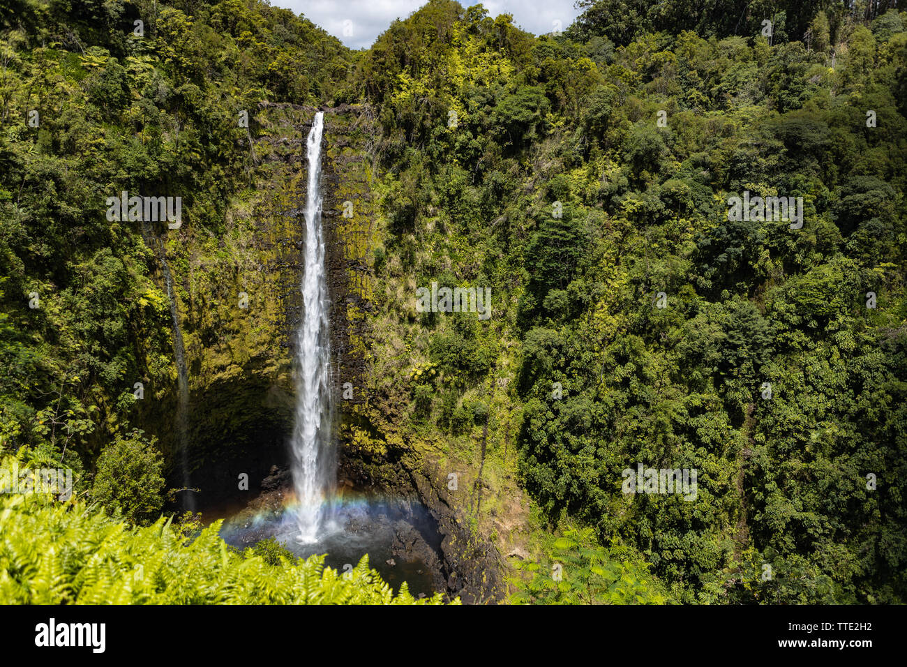 Akaka Falls avec rainbow près de Hilo, Hawaii Banque D'Images