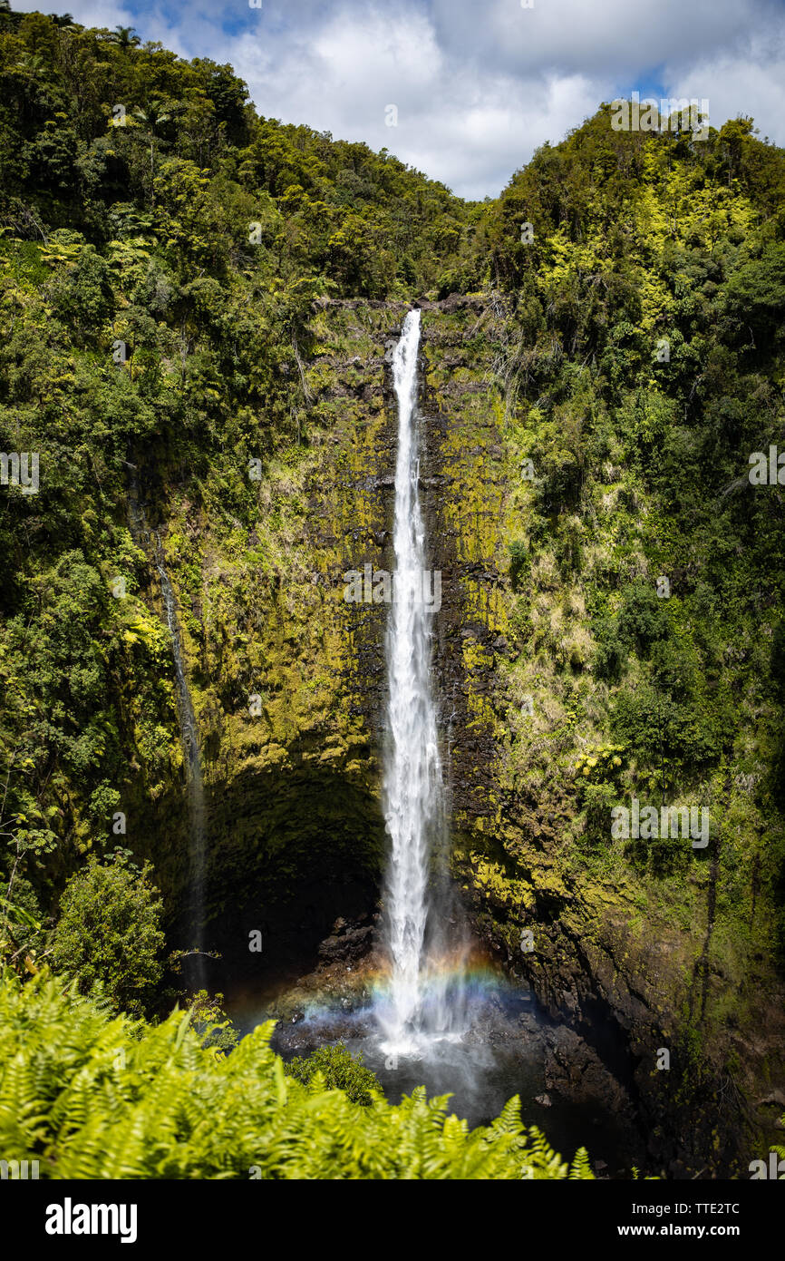 Une chute d'eau à Akaka Falls State Park près de Hilo, Hawaii Banque D'Images