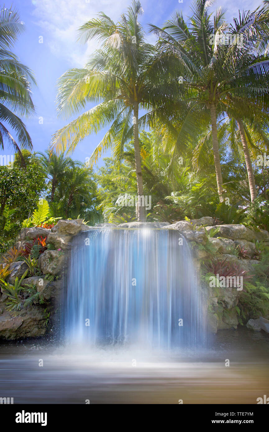 Une cascade tropicale à un jardin botanique en Floride du sud crée une vision merveilleuse de tranquillité. Banque D'Images Une cascade tropicale à un jardin botanique en Floride du sud crée une vision merveilleuse de tranquillité. Banque D'Images