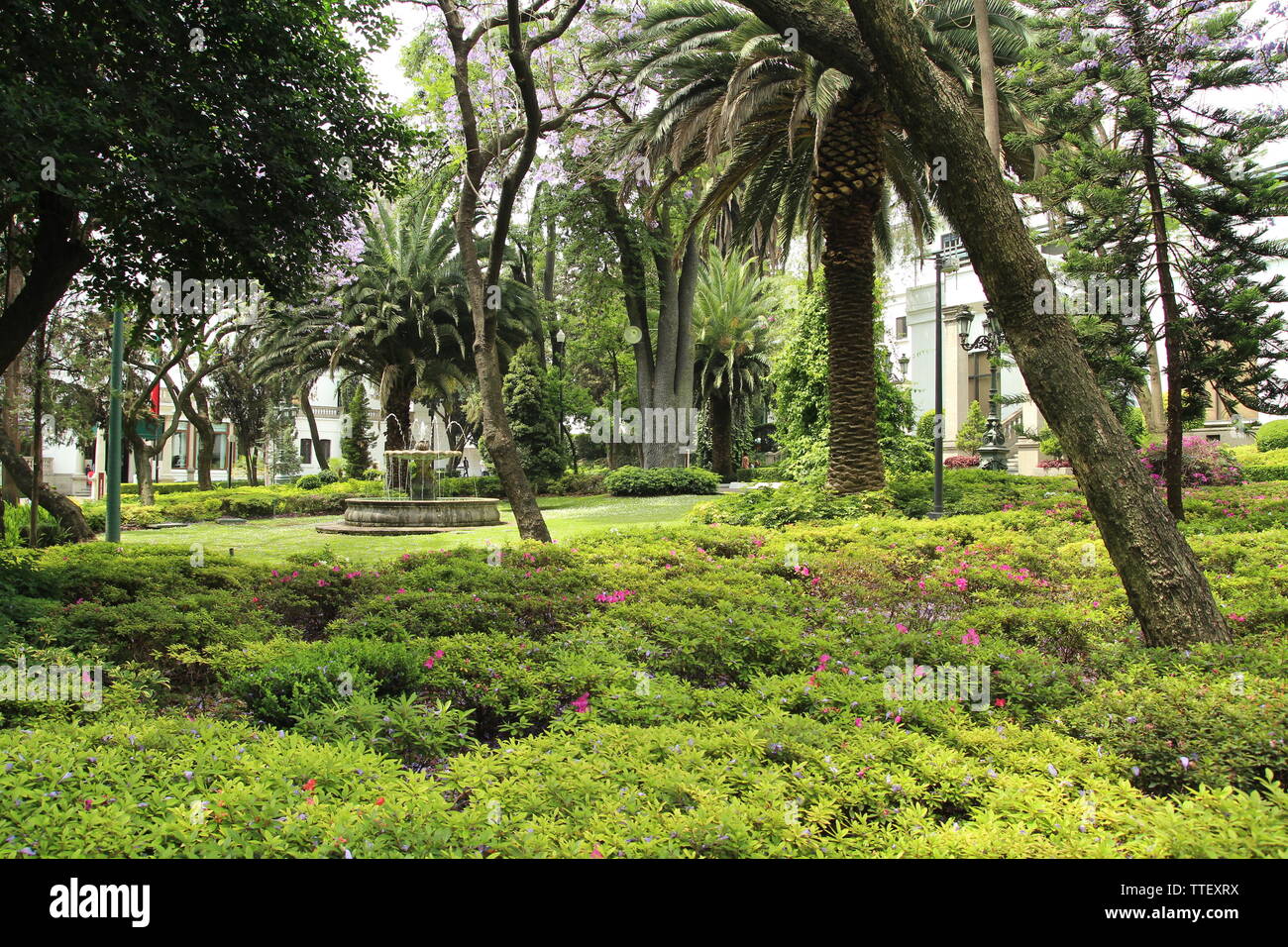 Los Pinos. Palais des présidents mexicains dans le parc de Chapultepec à Mexico. Banque D'Images