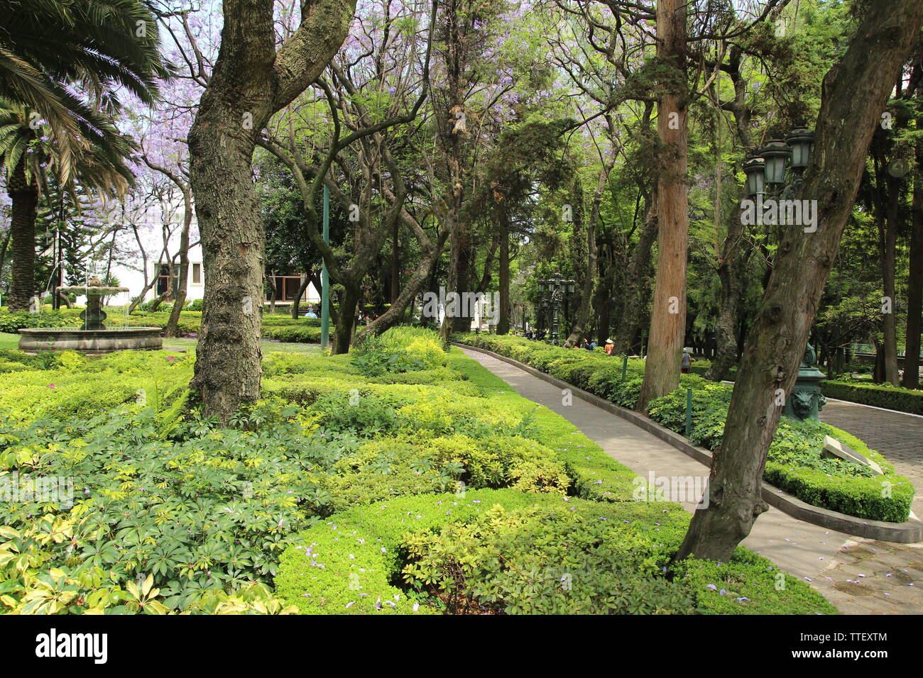 Los Pinos. Palais des présidents mexicains dans le parc de Chapultepec à Mexico. Banque D'Images