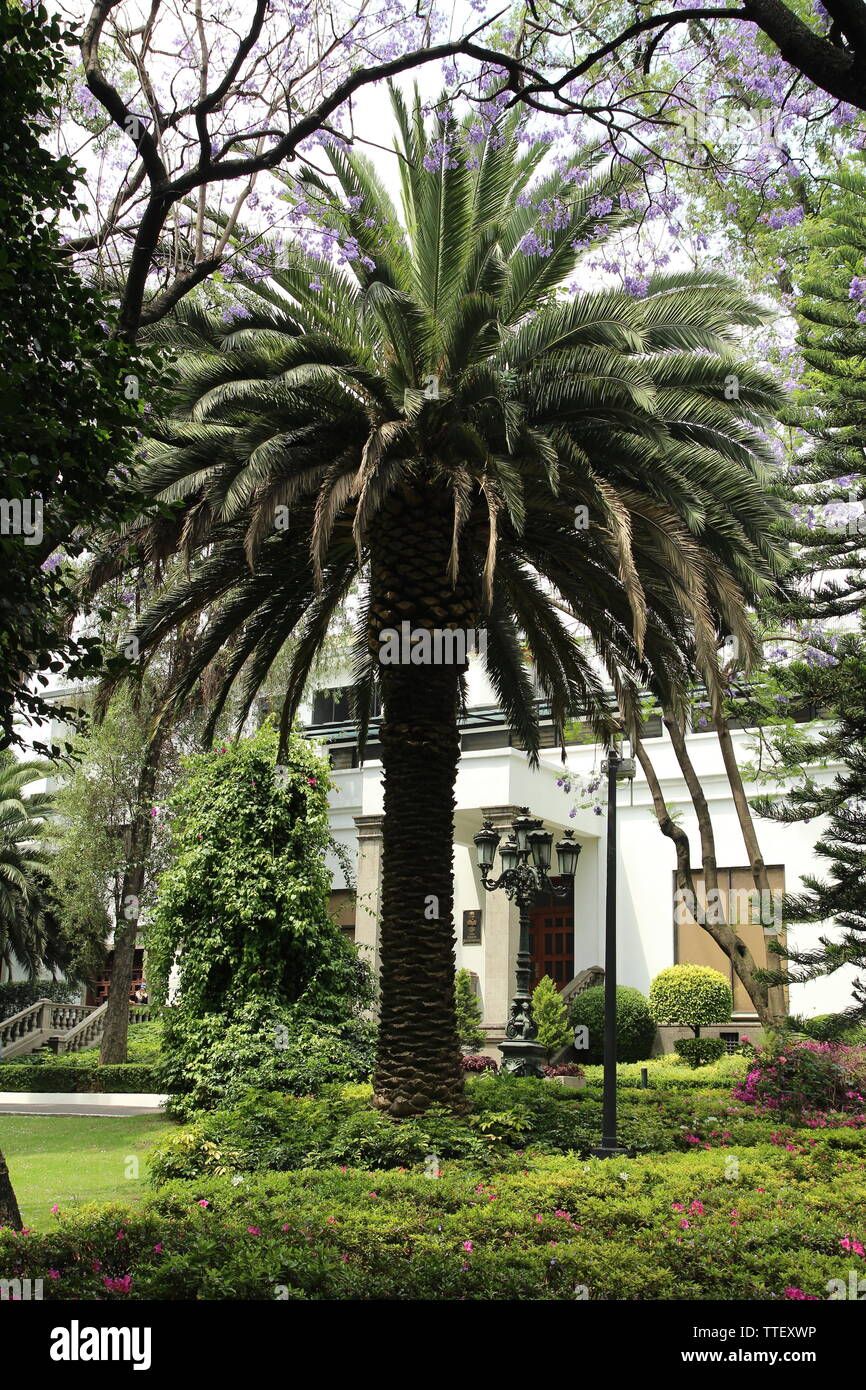 Los Pinos. Palais des présidents mexicains dans le parc de Chapultepec à Mexico. Banque D'Images