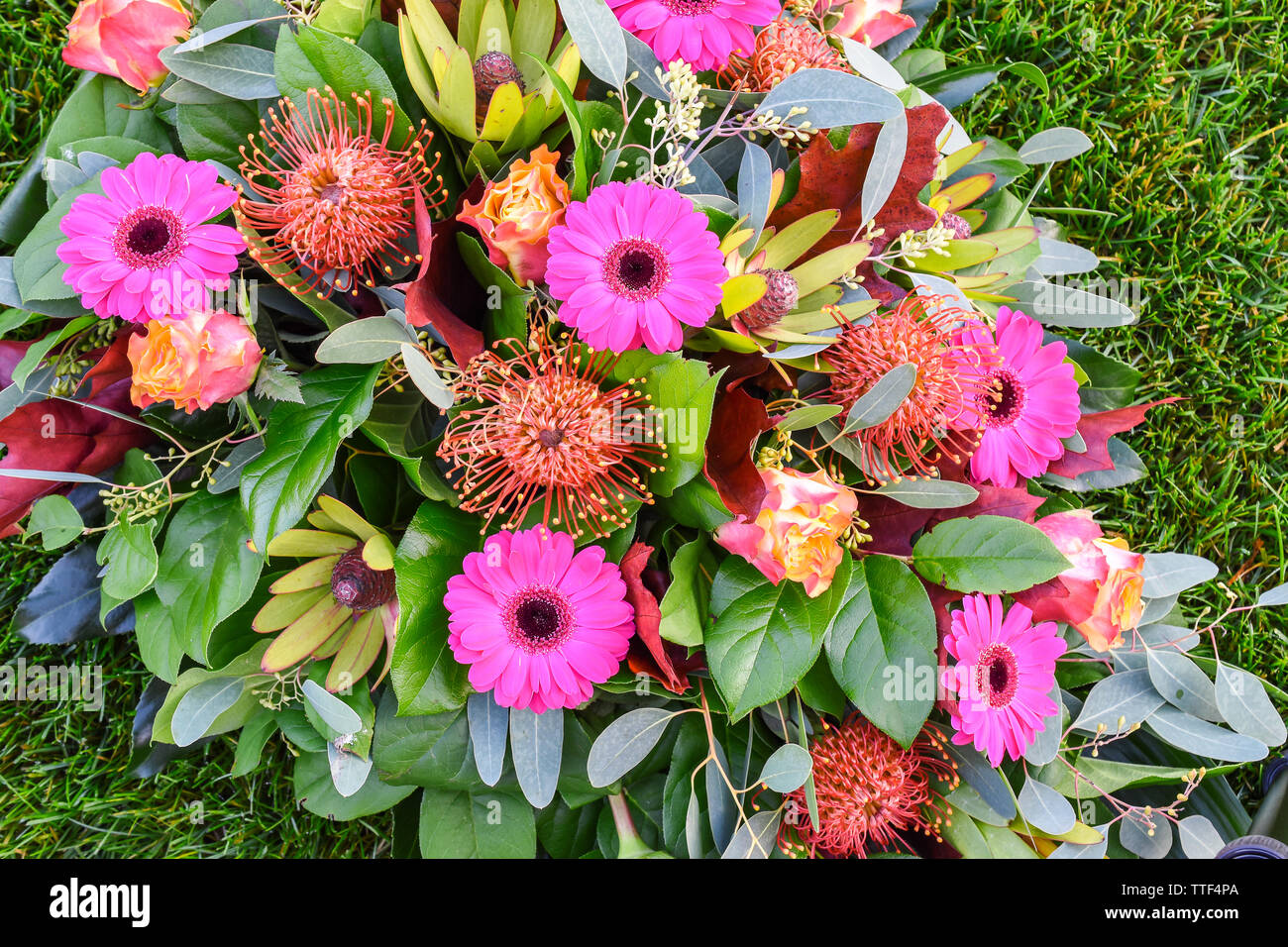Close up d'arrangement de fleurs colorées. Banque D'Images