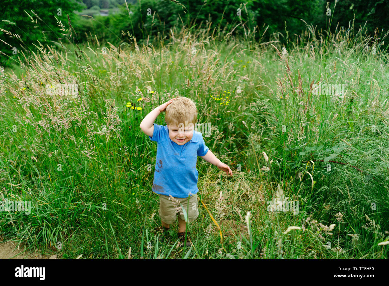 Tout droit sur portrait d'un jeune garçon jouant dans l'herbe haute Banque D'Images