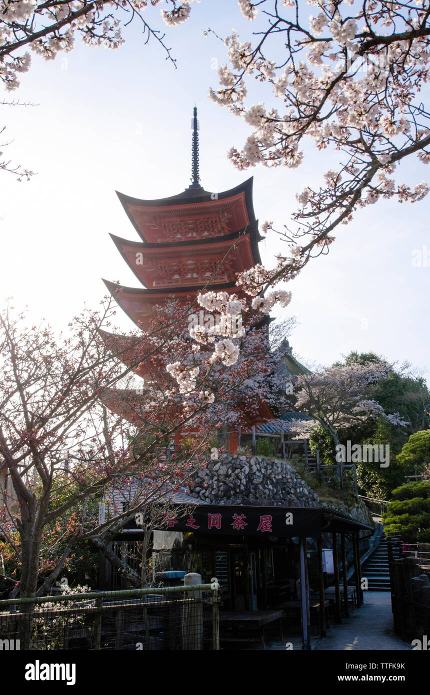 Temple Toji contre ciel sur sunny day Banque D'Images