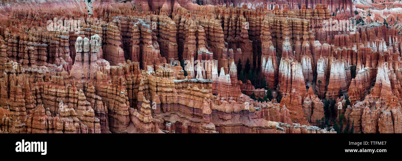 Hoodoos colorés à Bryce Canyon Banque D'Images