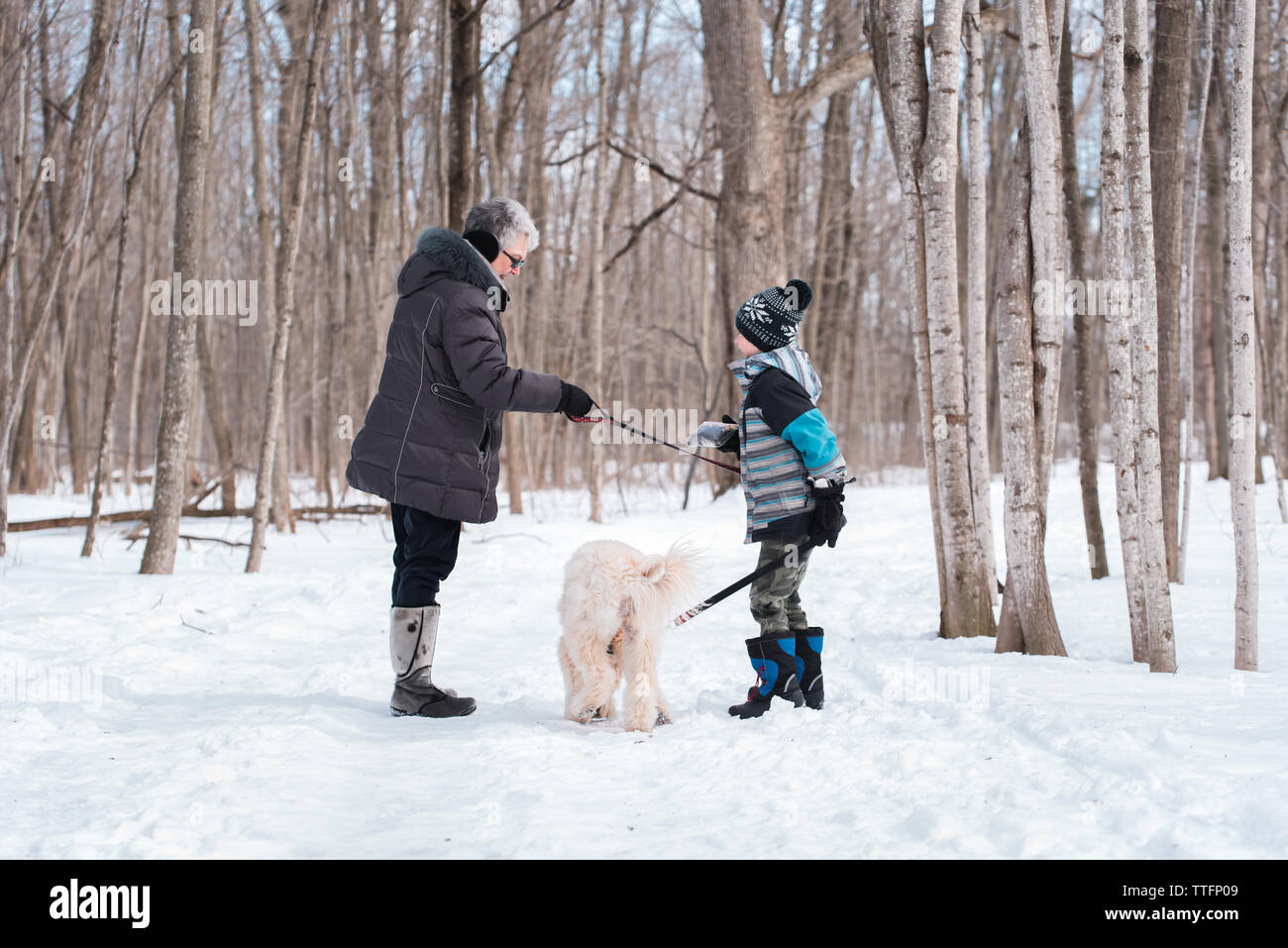 Grand-mère et petit-fils de marcher un chien sur un sentier boisé enneigé. Banque D'Images