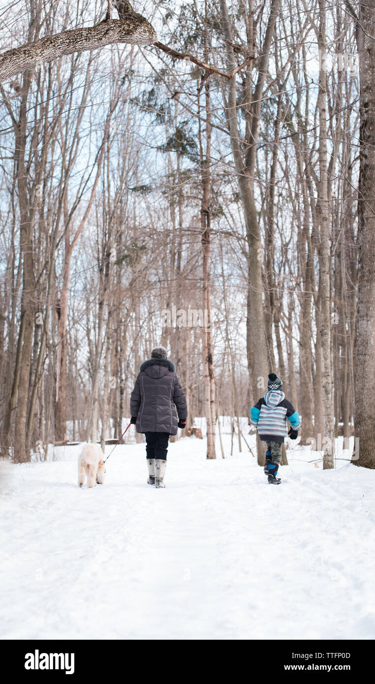 Femme plus âgée et l'enfant de marcher un chien sur un sentier boisé enneigé. Banque D'Images