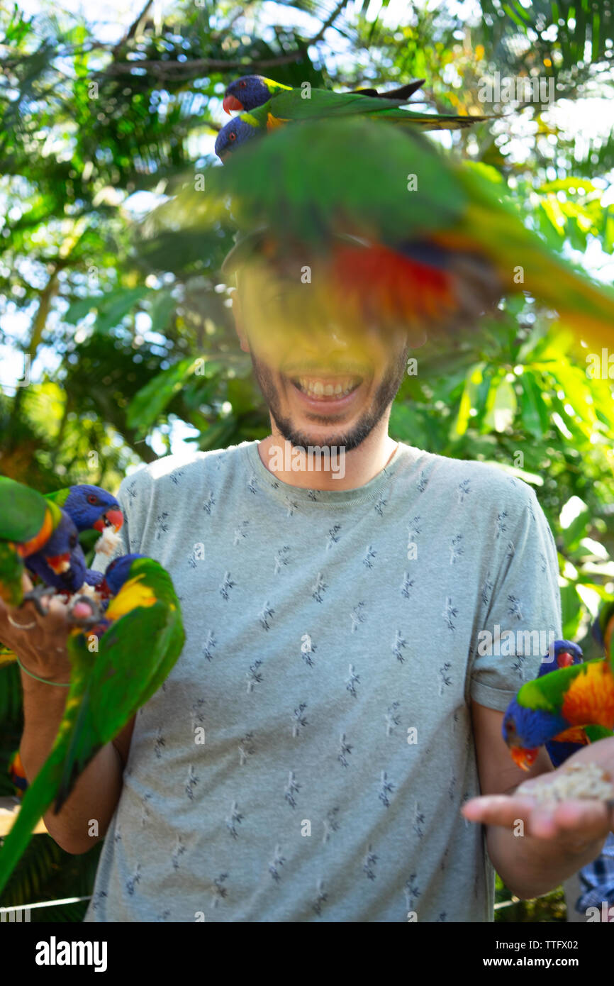 Heureux l'homme arc-en-ciel de l'Australie alimentation des loriquets verts à Magnetic Island Banque D'Images