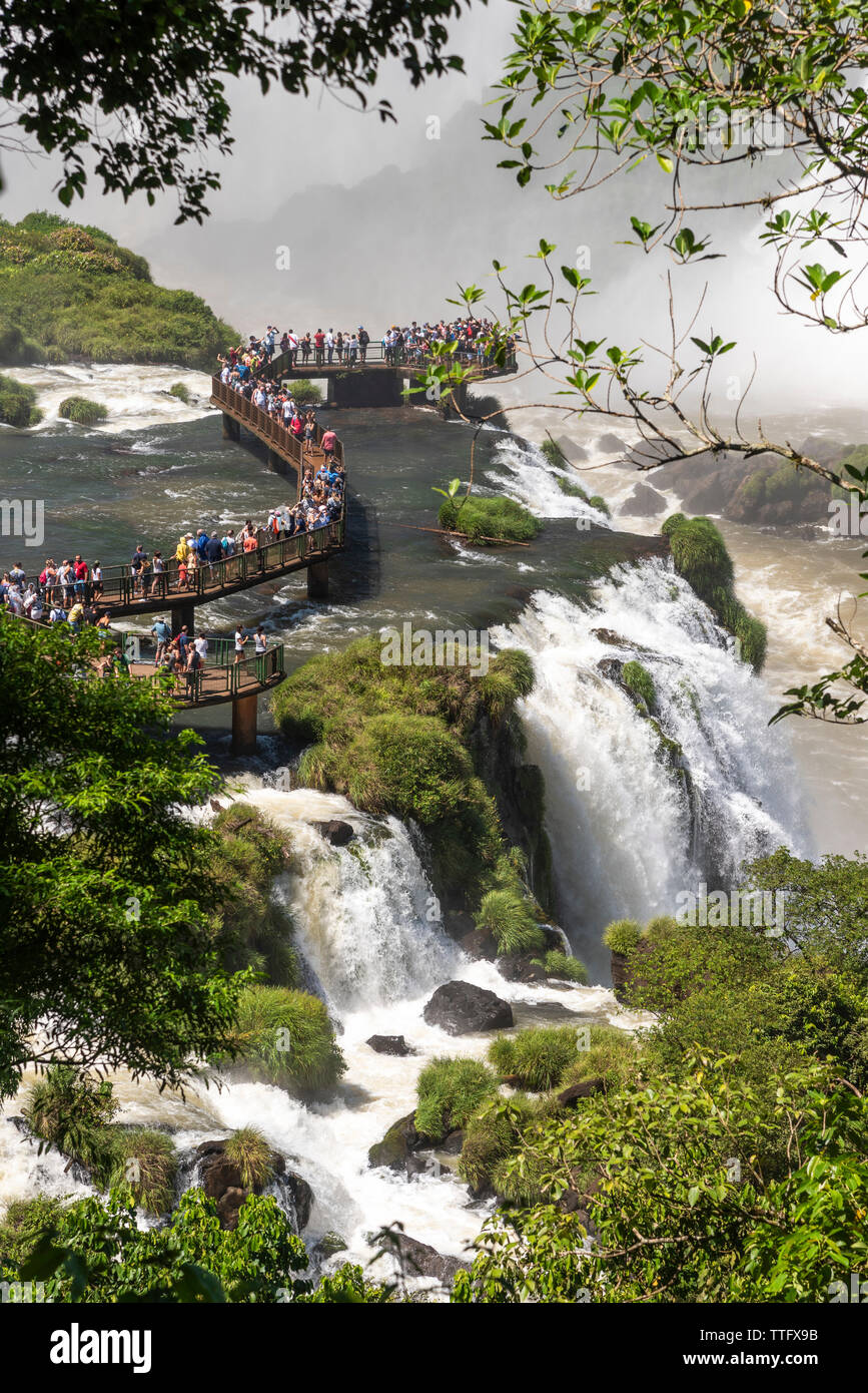 Beau paysage de touristes qui visitent les grandes chutes d'eaux dans des forêts tropicales Banque D'Images