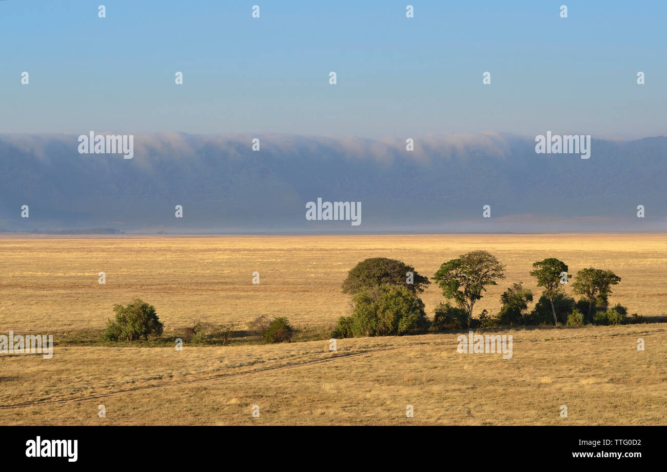 L'intérieur du paysage du cratère du Ngorongoro avec le matin, les nuages s'abattant sur la jante. La NGORONGORO CONSERVATION AREA, Tanzania Banque D'Images