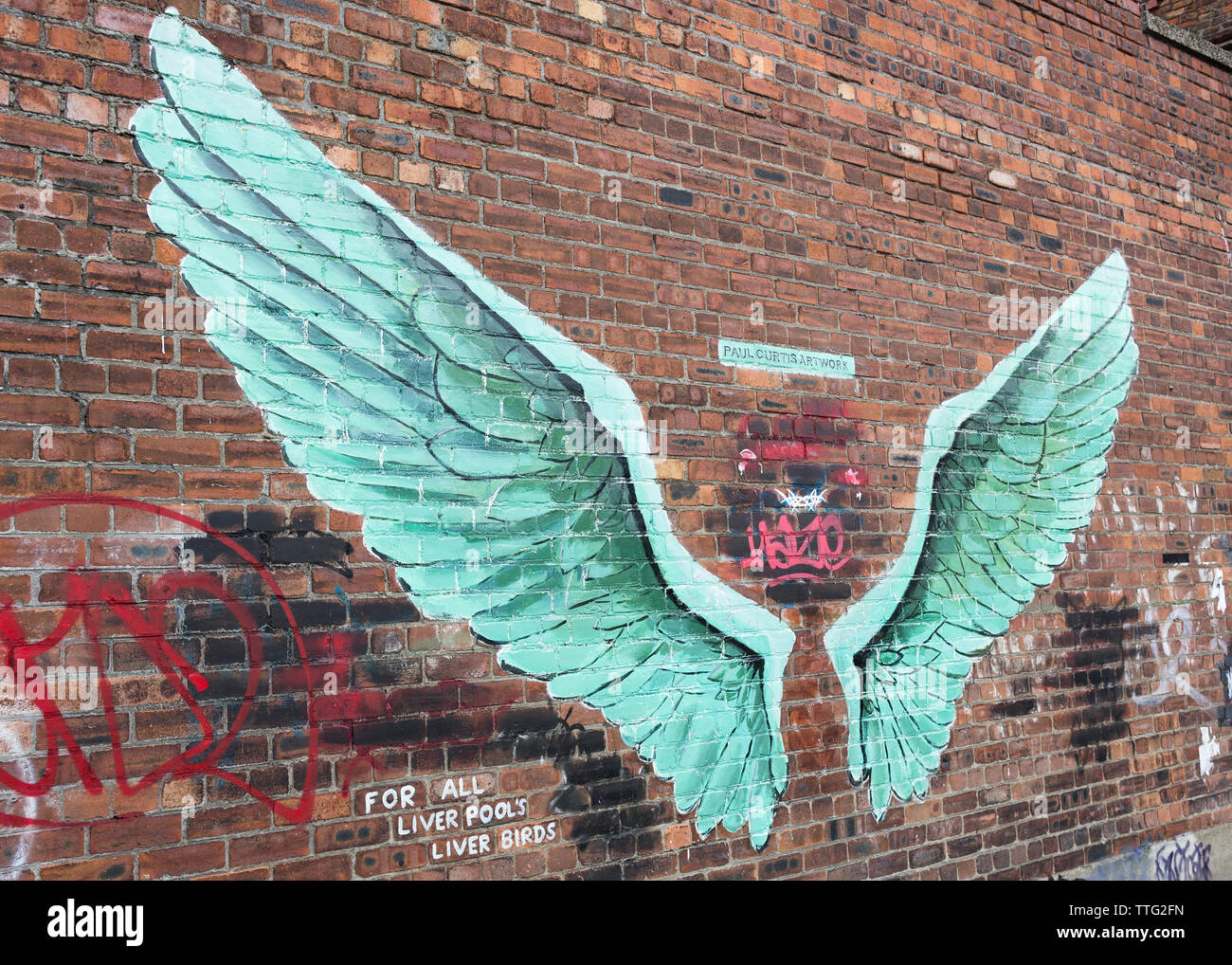 Les ailes des oiseaux du foie, street art on wall, Street, Liverpool, Angleterre, Royaume-Uni Banque D'Images