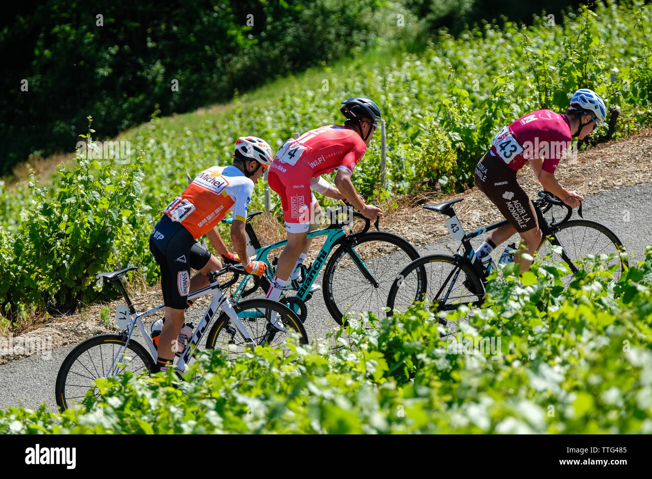 Une course à bicyclette dans les vignobles du Mont Brouilly et Brouilly,  deux crus du Beaujolais. Une course de deux jours qui traverse la région du  Beaujolais Photo Stock - Alamy