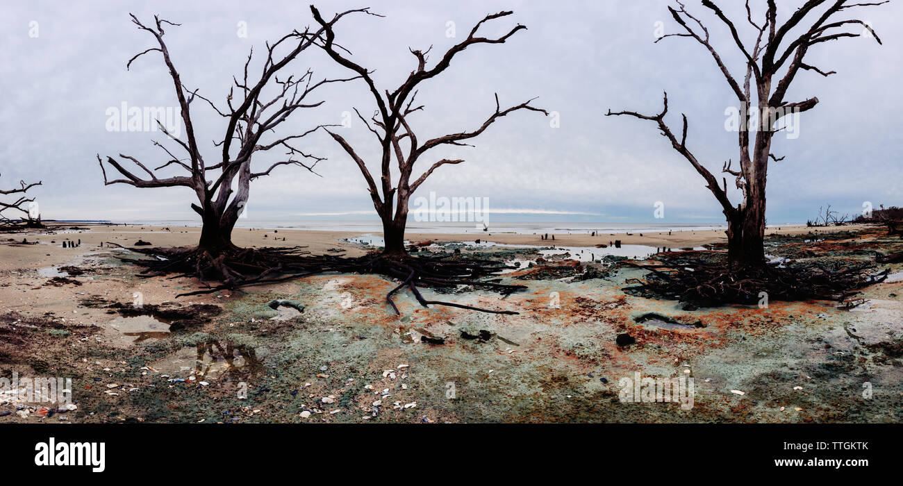 Botany Bay Beach panorama de jour nuageux, Edisto Island, Caroline du Sud, USA Banque D'Images