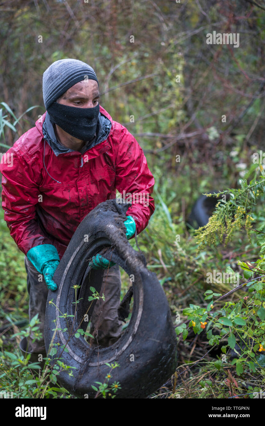 Un homme enlève un pneu d'un dumping dans un marais, la pression de la nature d'Ivanhoe Banque D'Images