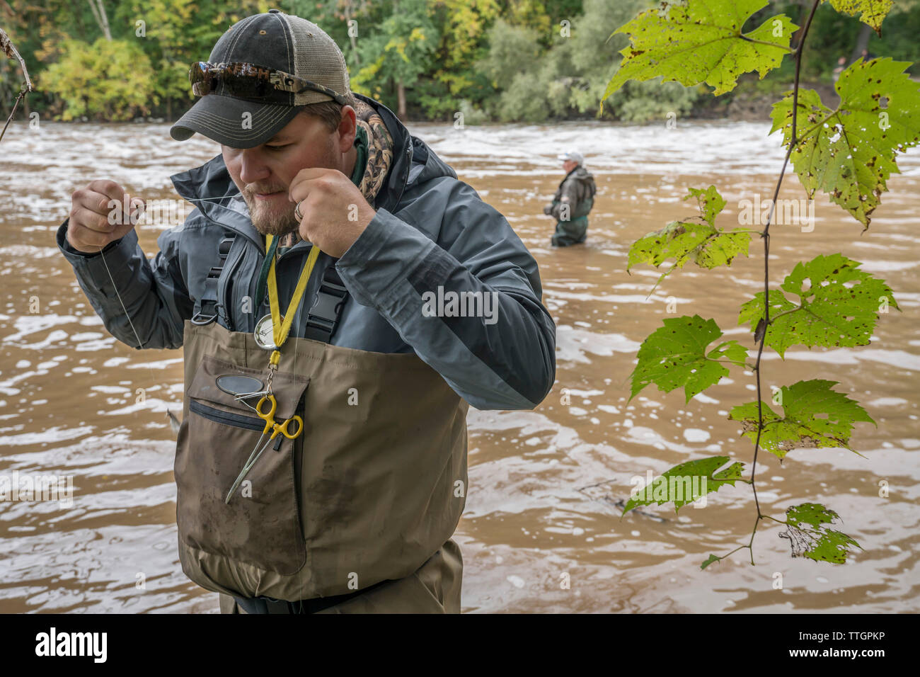 La pêche de mouche pour les saumons de roi sur la rivière Sheboygan Banque D'Images