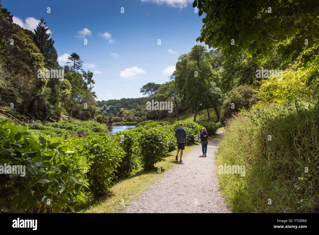 Les gens qui marchent le long d'un sentier dans la sous-tropicales Trebah Garden à Cornwall. Banque D'Images