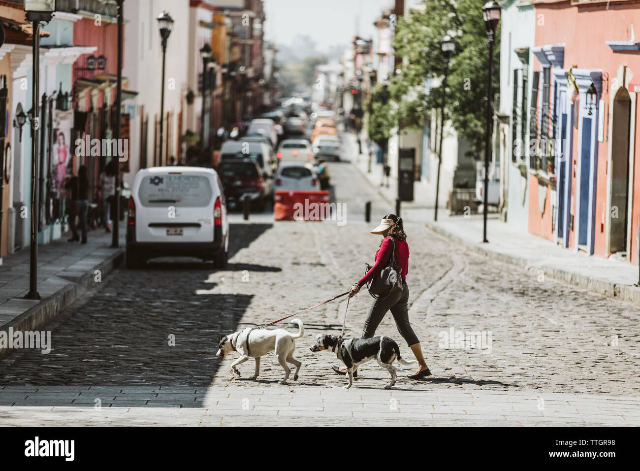 Femme marche sur les chiens rue pavée de Oaxaca au Mexique Banque D'Images