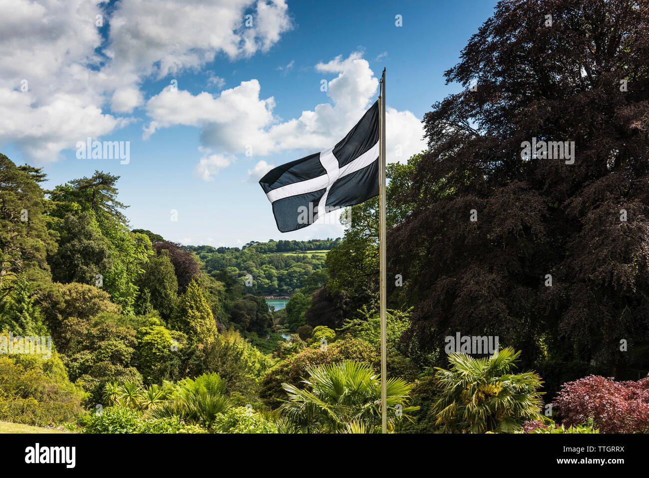 Le pavillon Saint Piran survolant un jardin Trebah ensoleillée à Cornwall. Banque D'Images