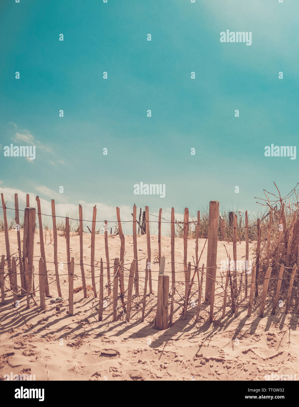 Système de dunes de sable sur la plage au lever du soleil Banque D'Images