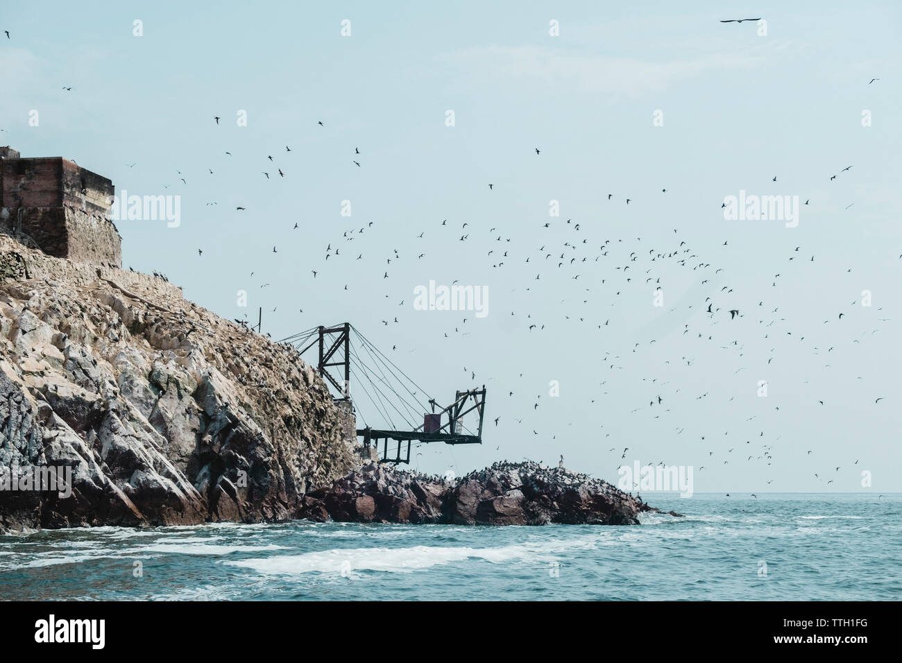 Des oiseaux volent au-dessus de la jetée abandonnée en Islas Ballestas, Paracas, Pérou Banque D'Images