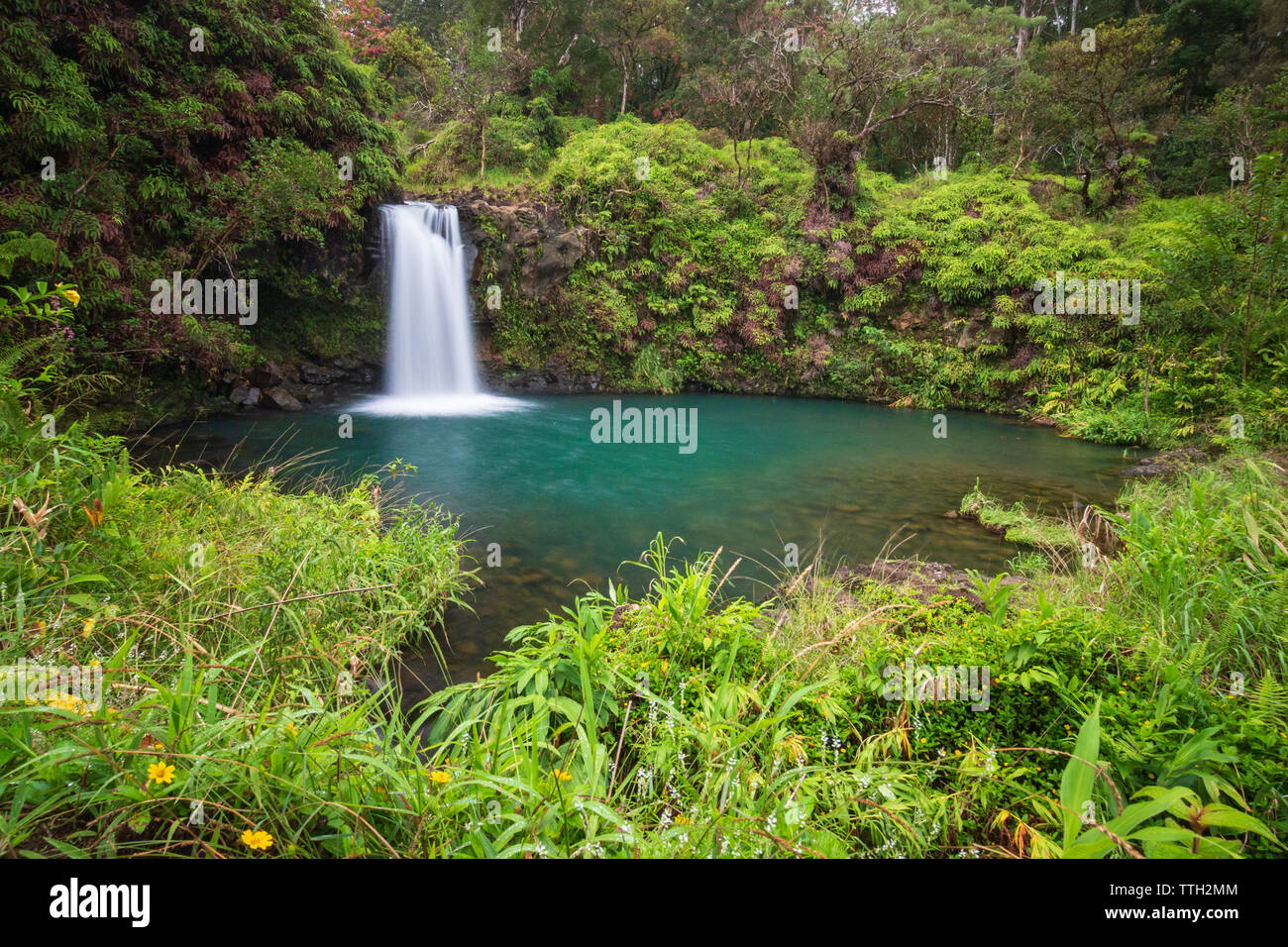 Expo de long shot Puaa Kaa Falls (Pua'a Ka'a Falls) sur l'île hawaïenne de Maui au point milliaire 22 sur la route de Hana Banque D'Images